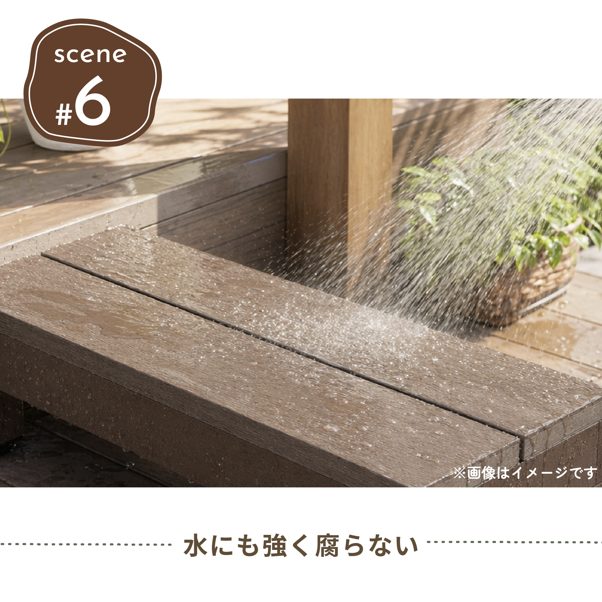 ステップplus